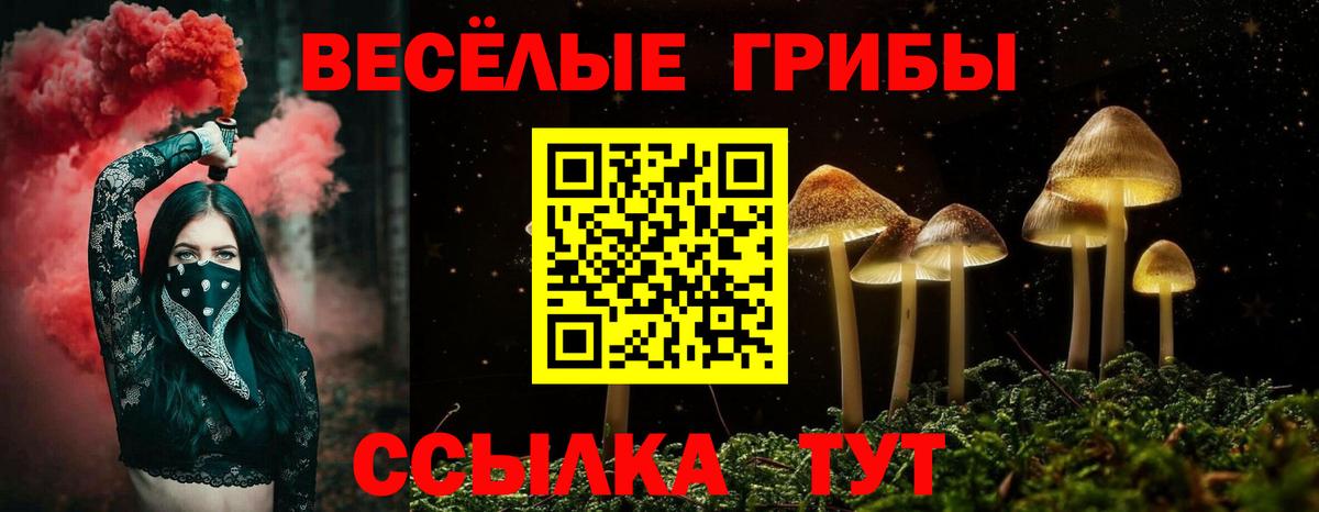 Псилоцибиновые грибы мухоморы  Псилоцибиновые грибы Cubensis  Вход с VPN  Приморско-Ахтарск 